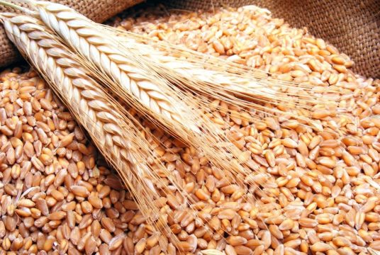 Казахстан перестал закупать российское зерно