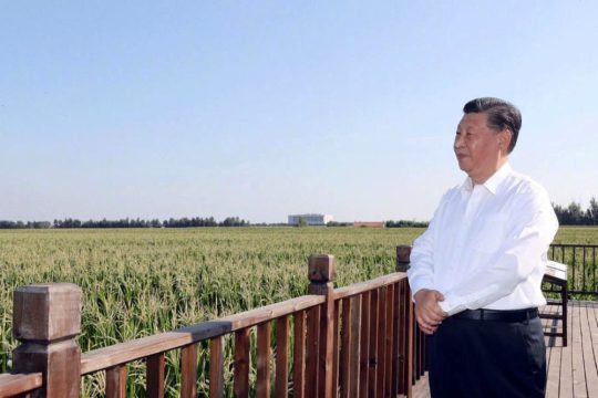 Китай больше не может увеличивать собственное производство зерновых