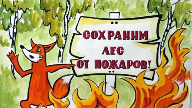 С 27 апреля на землях лесного фонда Саратовской области вводится противопожарный режим