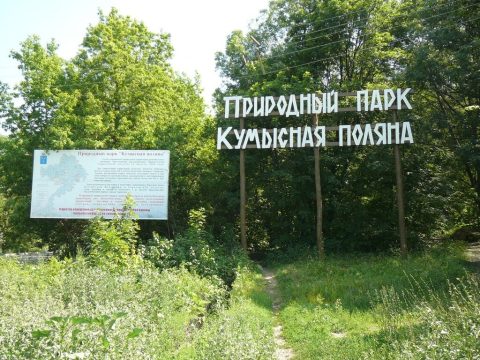 Саратовский губернатор приказал взять под охрану «Кумысную поляну»