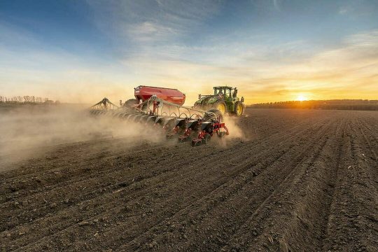 В Саратовской области увеличены площади под посевы пшеницы твёрдых сортов