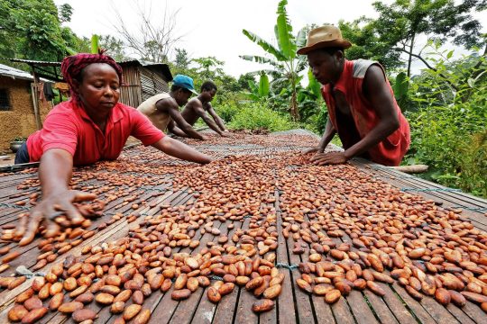 Мировые цены на какао пошли вниз