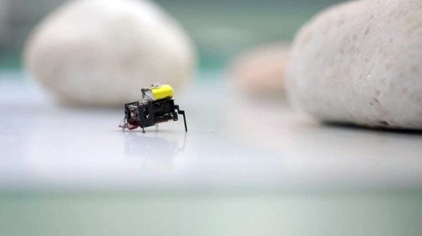 В Китае разработали робота-таракана
