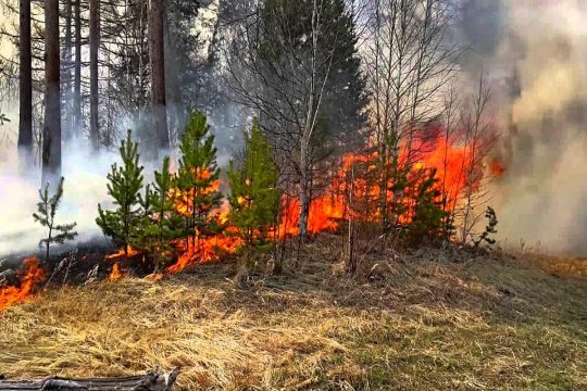 Саратовский губернатор предложил увеличить зарплату пожарным