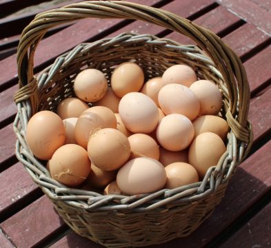 Яиц из Белоруссии привозят  еще  больше