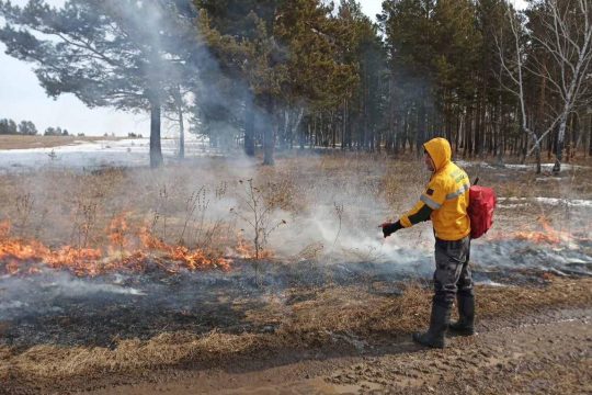 В лесах региона введен особый режим против пожаров