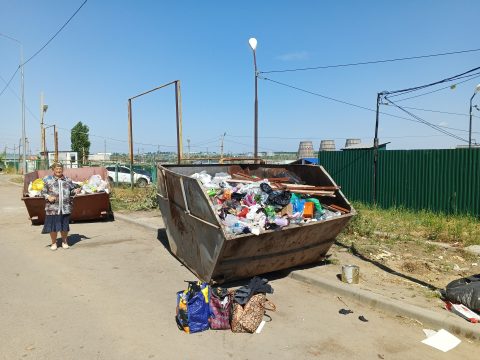  Правила благоустройства   в Саратове выкинули в мусорный контейнер