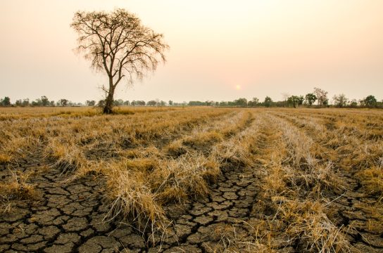 Саратовский губернатор решил помочь региону с водоснабжением