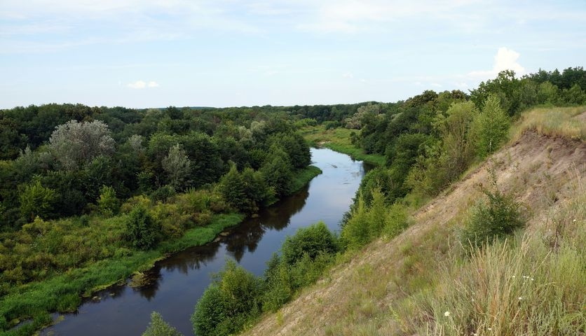 Открыт памятник природы в Лысых Горах