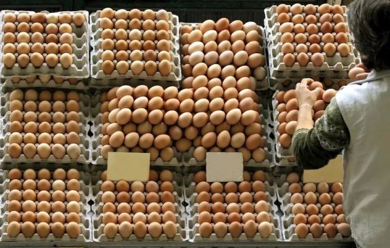 Предлагается отменить вознаграждение с поставщиков куриных яиц