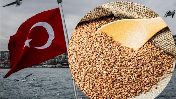 Турция главный покупатель российского зерна
