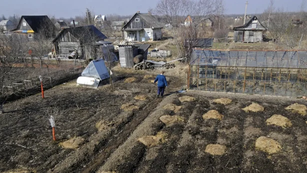 Дачникам дали три года на освоение земельного участка