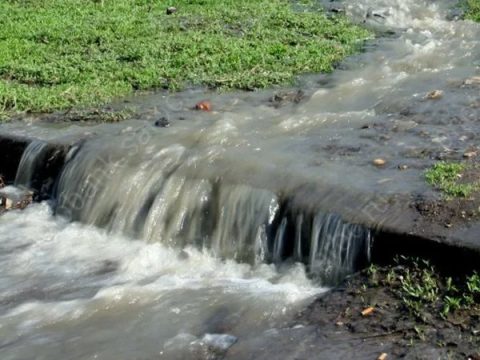 Чистую Волгу Саратов не увидит еще долго