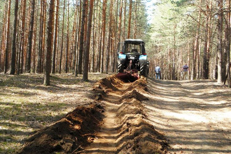 Подходы к саратовским лесам перепахали в целях борьбы с пожарами