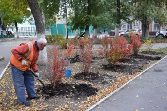 Гагаринский район Саратова может превратиться в территорию кустов