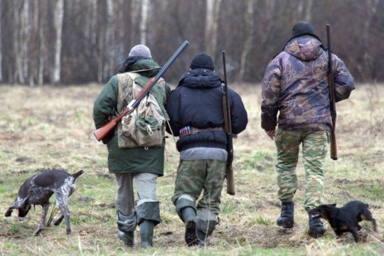 В регионе начался охотничий сезон: пойманы первые браконьеры