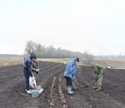 Дубов в Саратовской области станет больше