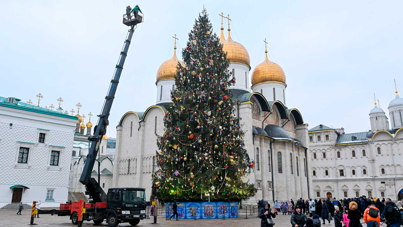 Из главной елки страны сделают клюшки, скворечники, часы