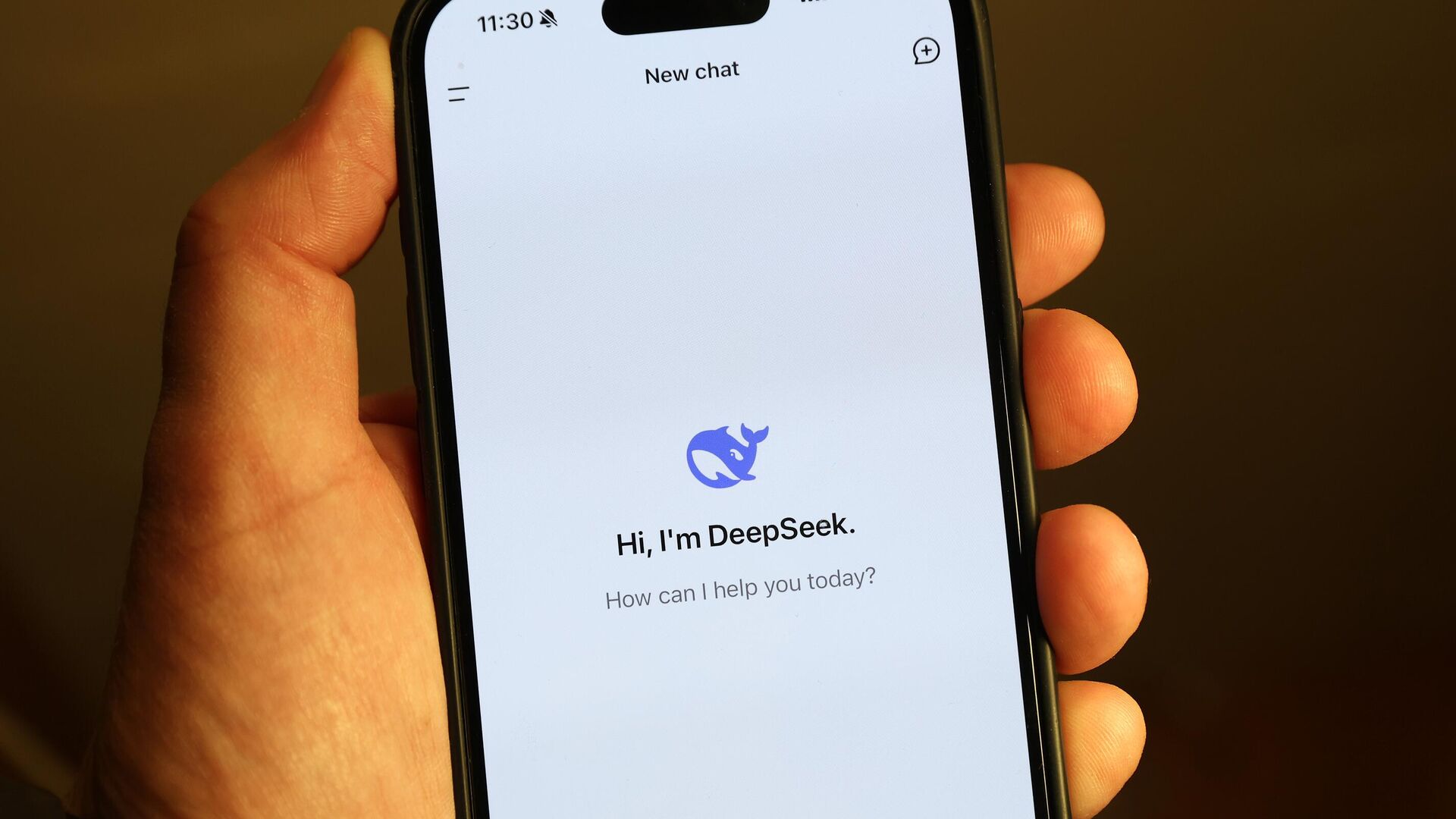 Китайская нейросеть DeepSeek показала американскому фондовому рынку DickPic