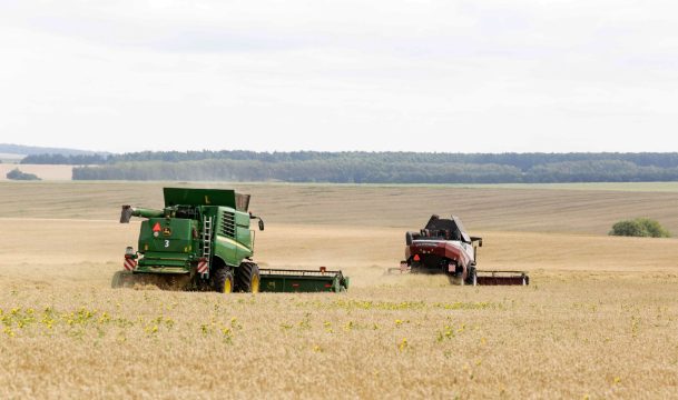 Эксперты снижают прогнозы по урожаю и экспорту пшеницы