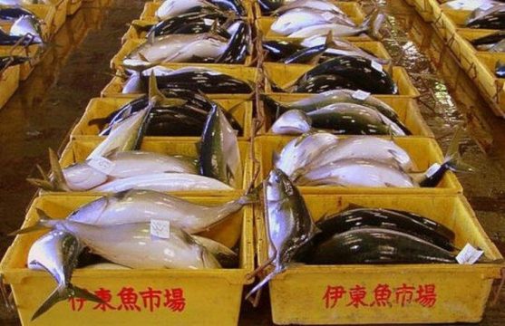 Не факт, что экспорт сельскохозяйственной продукции из России в США вырастет