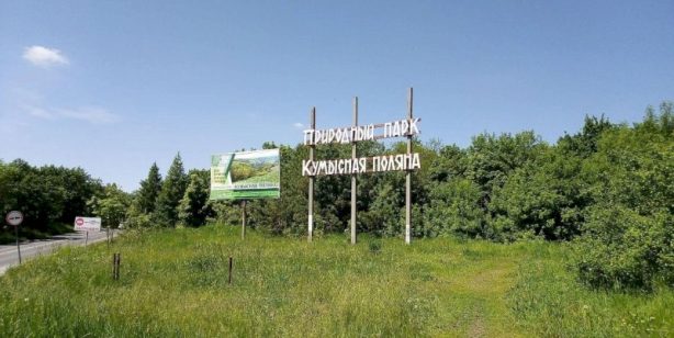  Кумысную поляну обработают от грызунов