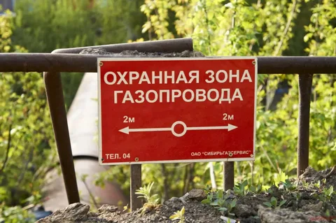 Еще одна госуслуга переведена в электронный вид