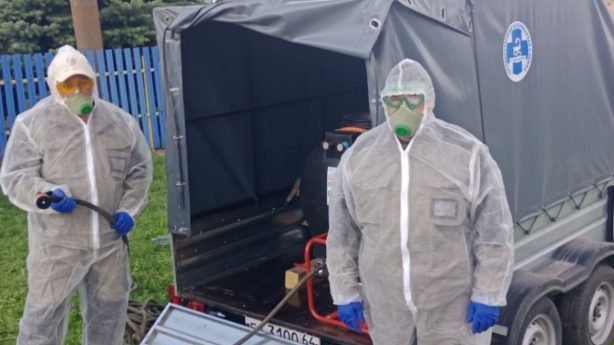 В Марксовском районе ликвидировали «вспышку» африканской чумы свиней