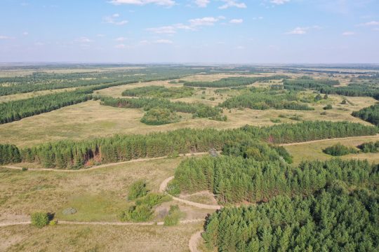 Первая экотропа появилась в «Дьяковском лесу»