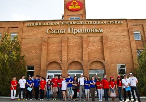 Агрохолдинг «Сады Придонья» в 2024 году резко увеличил выручку