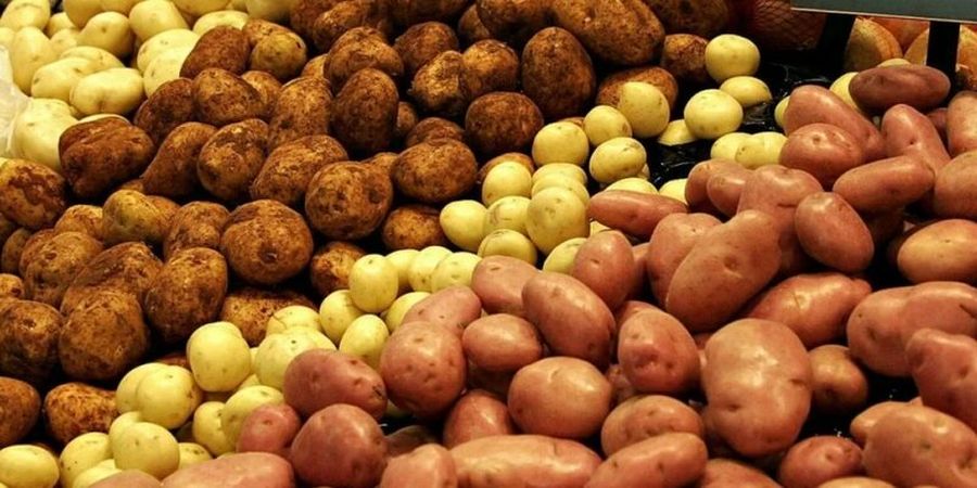 «Картофельный кризис» и странности льгот на беспошлинный импорт в Россию картофеля