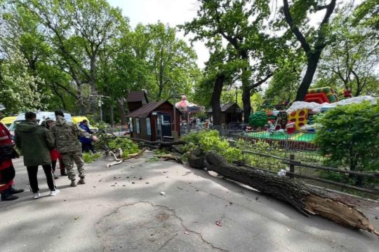 В Саратове вместо строительства школы теперь могут разбить новый сквер