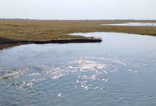 В водоёмы Левобережья Саратовской области завершается закачка воды