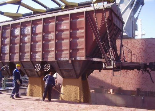 Реализация зерна российским селом сократилась почти на 40%