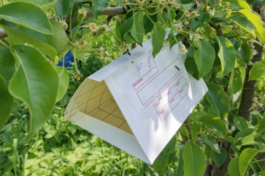 В Саратовской области  будет обследовано почти полтора миллиона  гектаров  сельхозземель