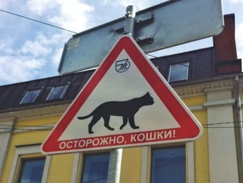 В Саратовской области появятся новые дорожные знаки 