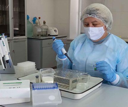 Краснокутская ветлаборатория использует новый метод диагностики бруцеллеза молока