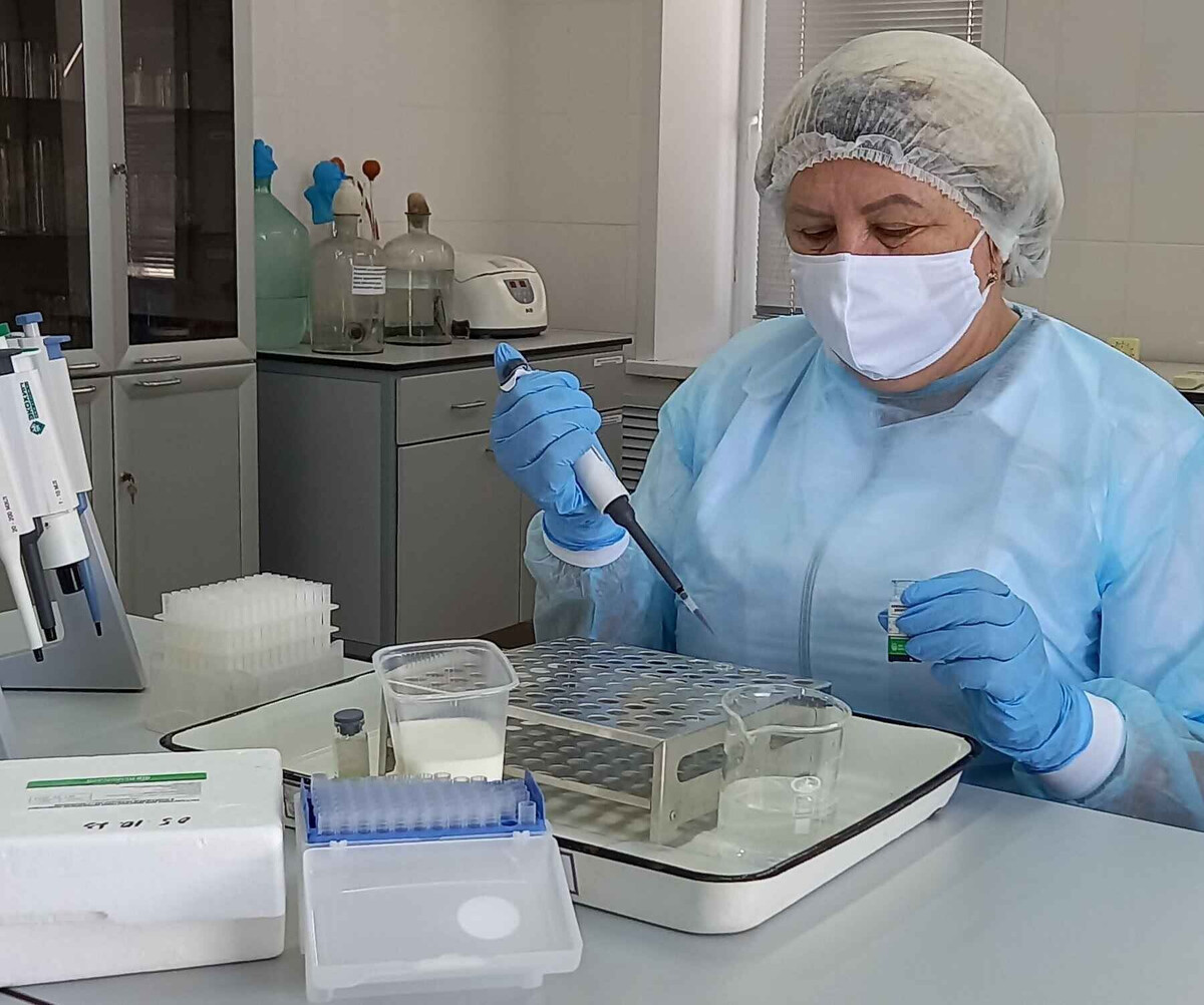 Краснокутская ветлаборатория использует новый метод диагностики бруцеллеза молока