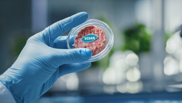 В России утвердили официальный логотип для веганских товаров