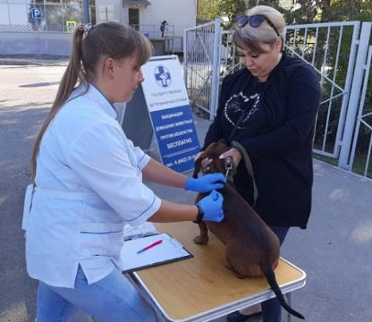 В Саратовской области заработала передвижная ветеринарная клиника