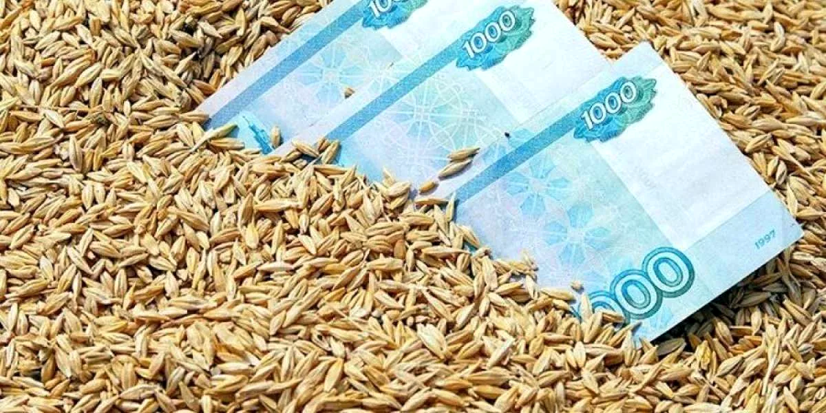 Российские аграрии могут обходить высокую процентную ставку по кредитам