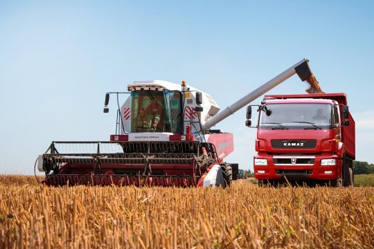 Россия продает в Китай меньше зерна