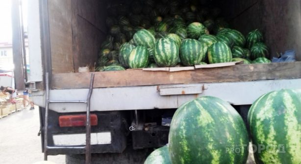 Границу Саратовской области не прошло сорок тонн арбузов  и дынь