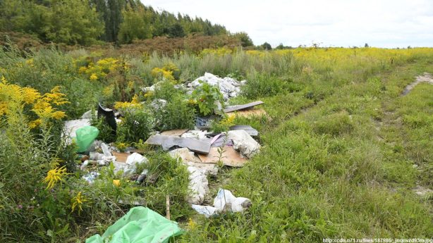 В Гагаринском районе ликвидировали две свалки