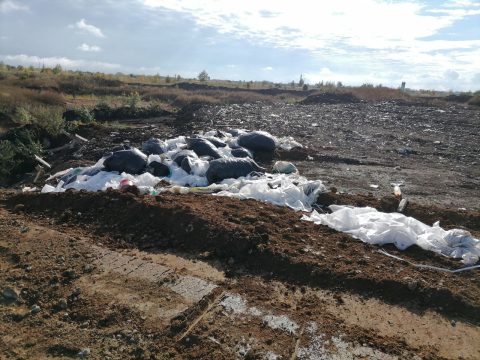 Росприроднадзор обходит стороною наш регион