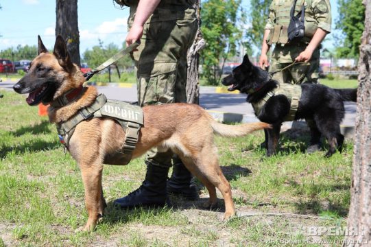 Беспилотники будут искать служебные собаки