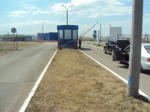 На границе Саратовской области задержаны животные, птицы и пчелы