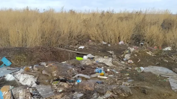 В Новоузенском районе ликвидированы две свалки