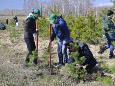 Акция «Марафон зеленых дел» начинается завтра