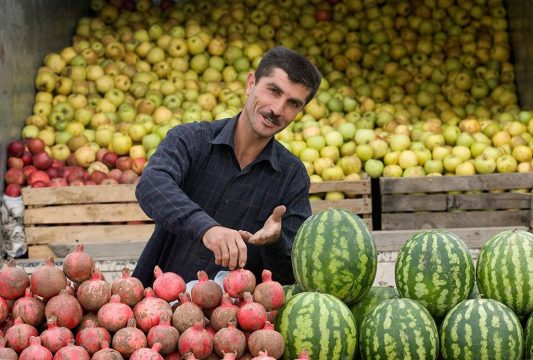 Тень разрыва: аграрный кризис навис над Россией и Азербайджаном